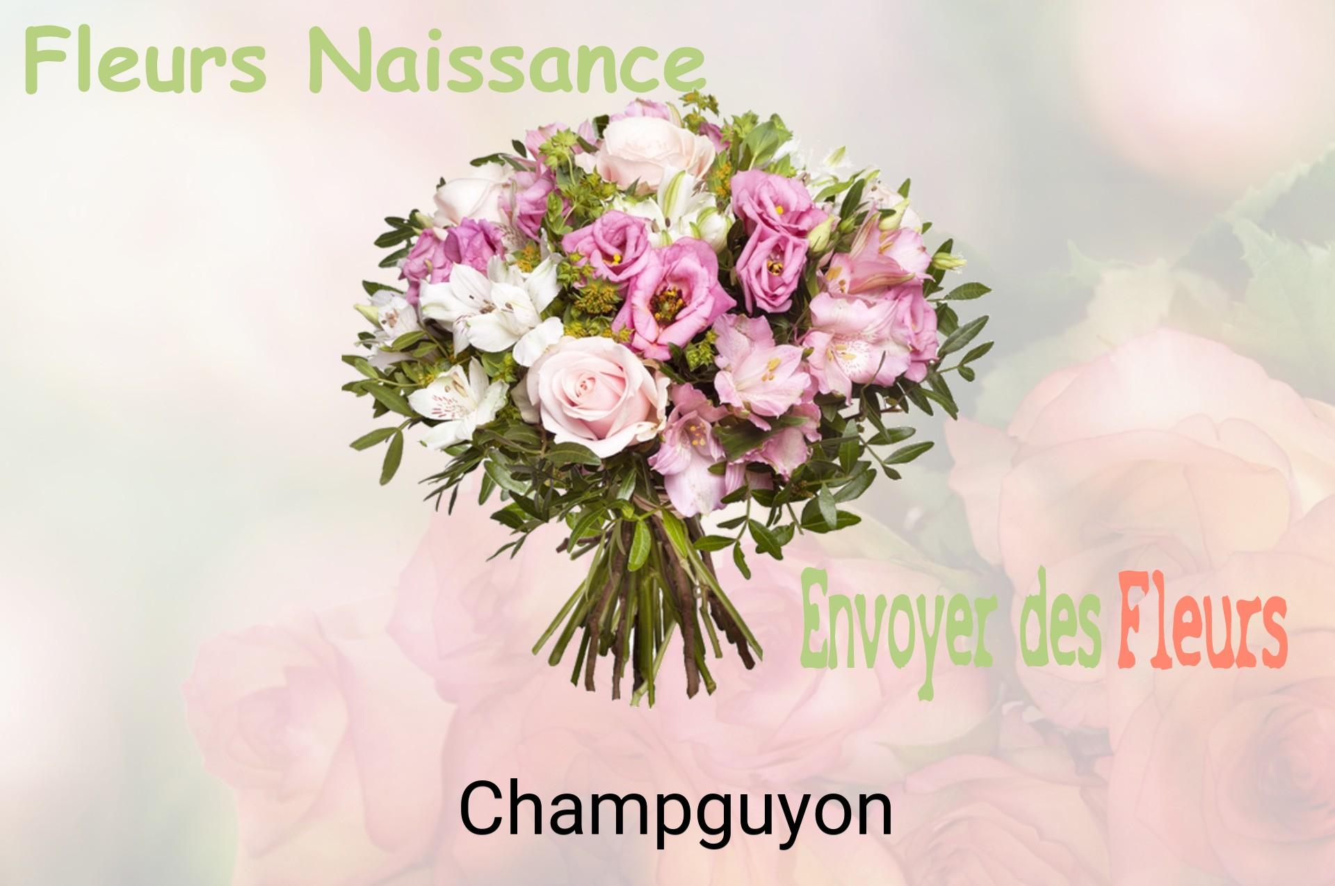 Bouquet de fleurs de naissance livré à Champguyon