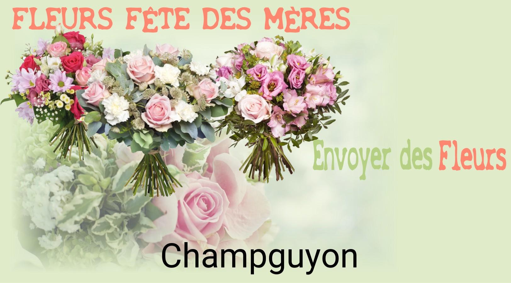 Bouquet de Fête des Mères livré à Champguyon